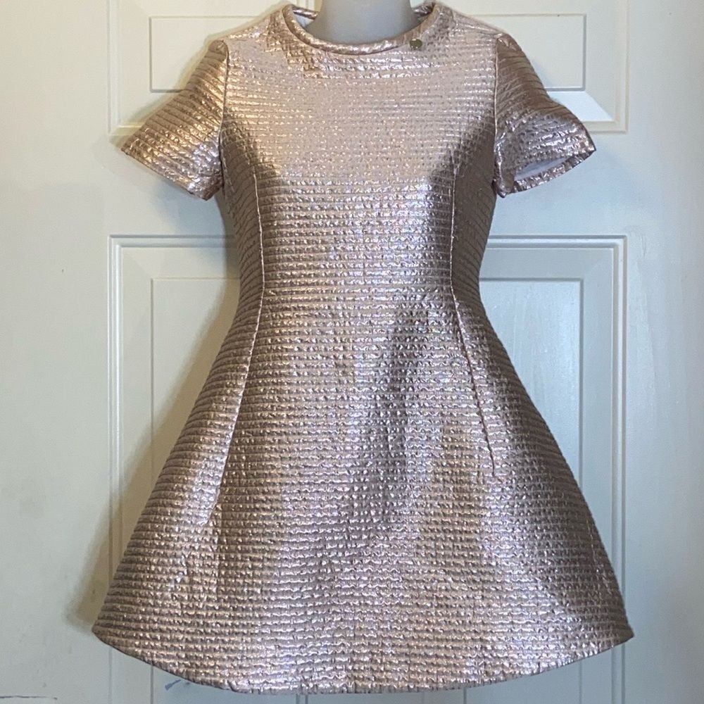 New Never Work No Tag Val Max Made In Italy Dress Size 90/12 Color Metallic